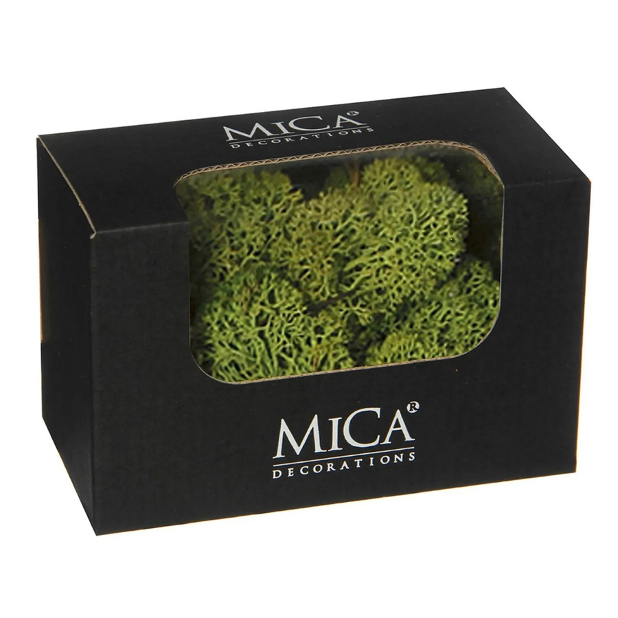 Mica Decorations Rentiermoos Grün B/T/H: 14,5 x 8 x 9,5 cm - Bild 2