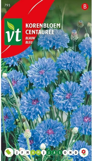 Arborix Kornblume Samen für blaue Blüten, ca. 1 g - Bild 1