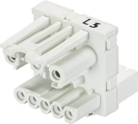 Wieland Electric Verteiler 91.050.3351.0 in Weiß - Bild 1