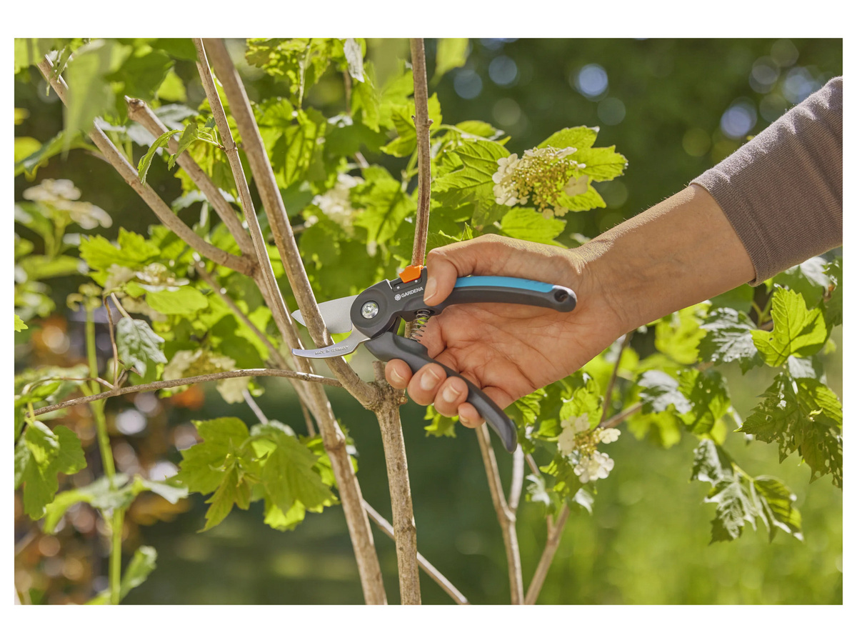 Gardena Gartenschere PremiumCut Bypass in Anthrazit und Türkis - Bild 2
