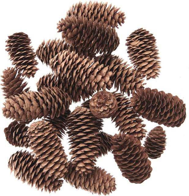 Rico Design Fichtenzapfen in Natur für Herbst, Winter und Weihnachten - Bild 1