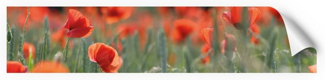Myspotti Küchenrückwandfolie Mohn in Tile-Look, selbstklebend, Multicolor/Rot, B: 280 cm, H: 60 cm - Bild 1