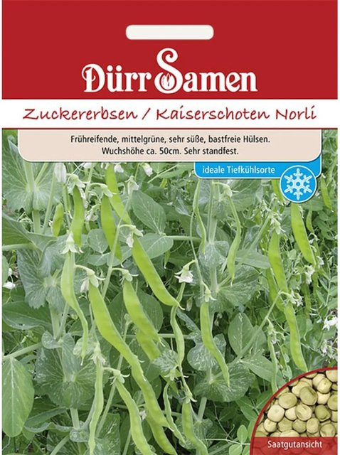 Dürr Norli Zuckererbsen Saatgut - Bild 1