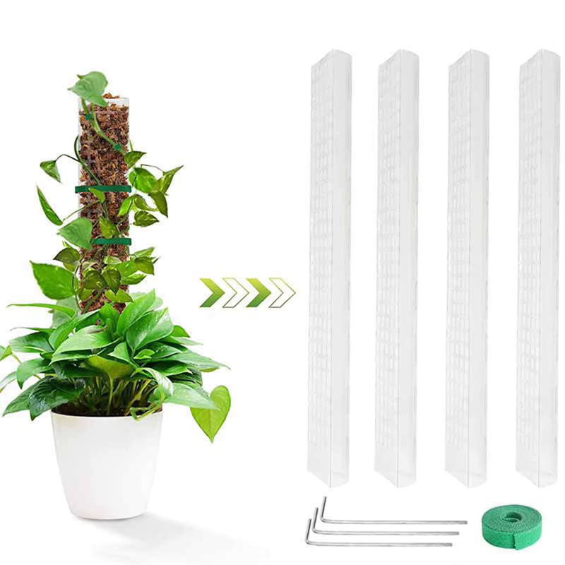4er Set Kletterhilfen aus Moosstangen in Braun für Monstera, Pothos und Geldbaum zur Unterstützung von Kletterpflanzen - Bild 2