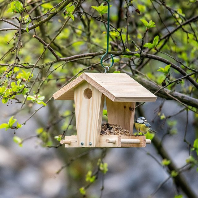 Vivara Kids Bausatz für Futterhaus Jinto aus Holz in Braun - Bild 1
