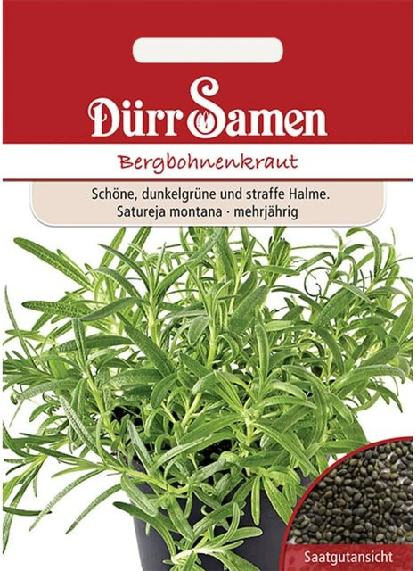 Dürr Bergbohnenkraut Saatgut für Frühjahr und Sommer - Bild 1