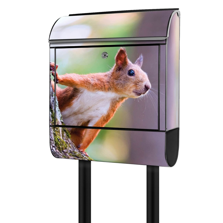 Freistehender Briefkasten von banjado in Schwarz und Multicolour mit Eichhörnchen-Motiv, inklusive Zeitungsfach, pulverbeschichtet, B/T/H: 38 x 16 x 161,5 cm - Bild 1