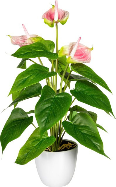 Gasper Anthurie Kunstpflanze in Rosé-Weiß, Topf, Höhe: 20,0 cm, Breite: 10,0 cm, Tiefe: 9,0 cm - Bild 1