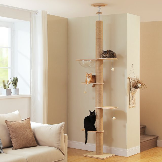 PAWZ Road Bodenhoher Katzenbaum aus Holz mit Acryl-Höhle und integriertem Spielzeug für Wohnungskatzen - Bild 1