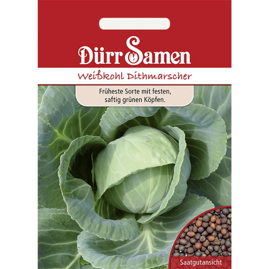 Dürr Weißkohl Dithmarscher Saatgut für die Frühsaat im Freiland - Bild 2
