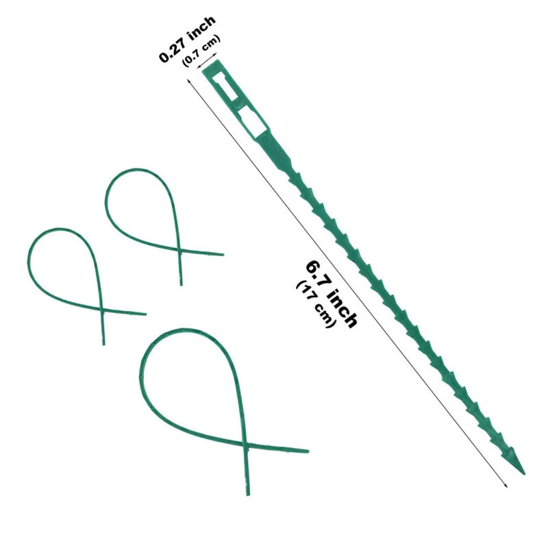 50 Stück wiederverwendbare Pflanzen-Kabelbinder aus Kunststoff zur Gartenpflege und Kletterunterstützung für Traubenbäume, Länge: 17 cm, Breite: 0,8 cm - Bild 1