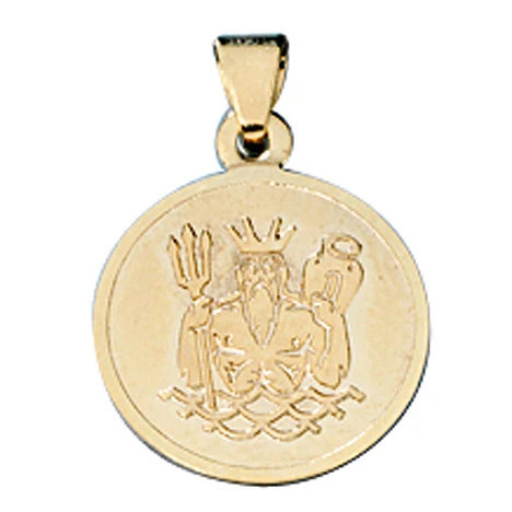 Colfem Anhänger Sternzeichen Wassermann, 333 Gelbgold, matt, Unisex - Bild 1