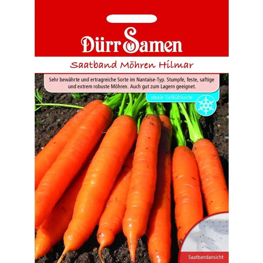 Dürr Hilmar Möhren Saatgut mit Samen-Saatband - Bild 2