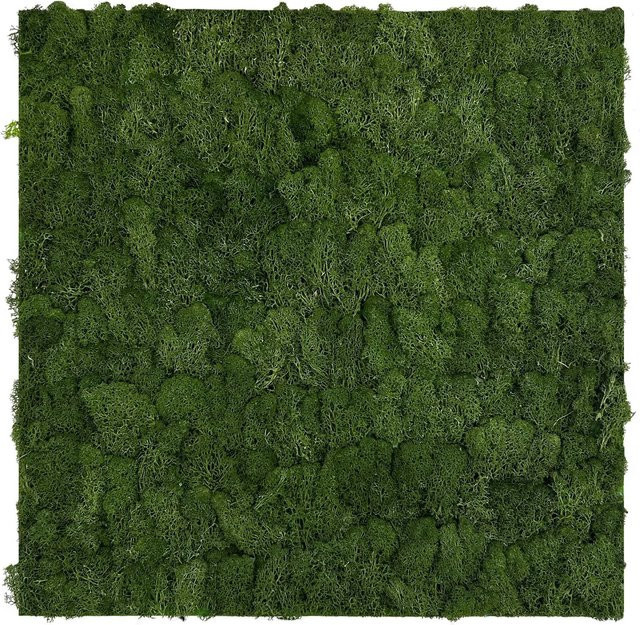 Jangal Wandpaneel Modular Wall in Dark Green Moos, B/H: 52 x 52 cm - Bild 1
