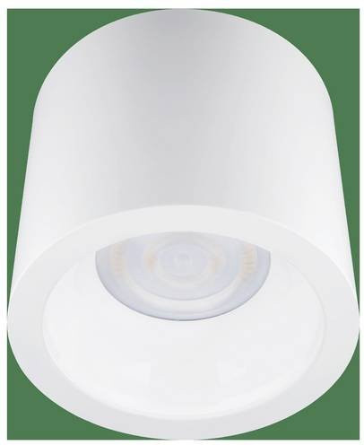 Opple LED Dow Aufbaugehäuse in Weiß mit Adapter - Bild 1
