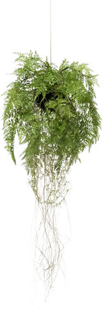 Künstlicher Hänge-Farn Jolie von Aplanta, Grün, Höhe: 35 cm