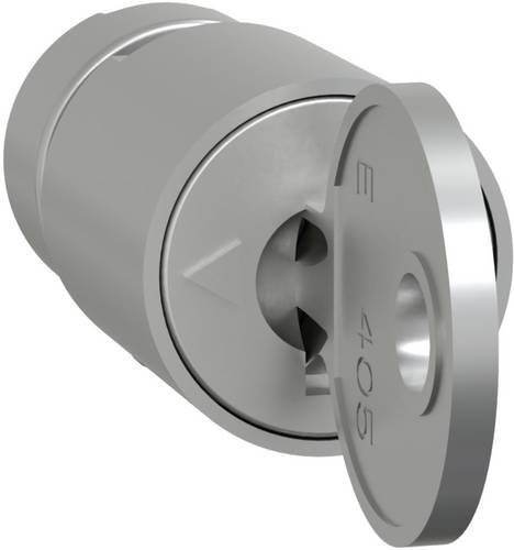 Schneider Electric PrismaSeT-P Zylinderschloss LVS07940 in Silber mit 1 Schlüssel Nr. 405 - Bild 1