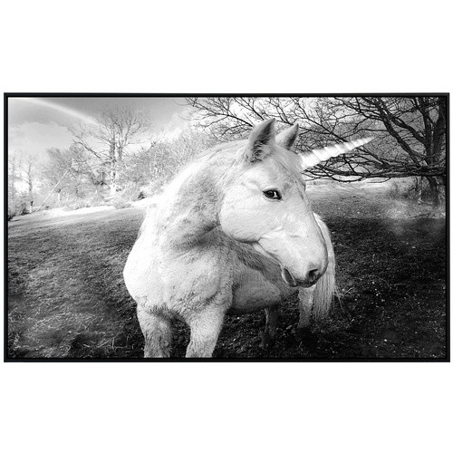 papermoon Infrarotheizung EcoHeat Einhorn Schwarz Weiss Matt-Effekt mit App-Steuerung und WLAN - Bild 2