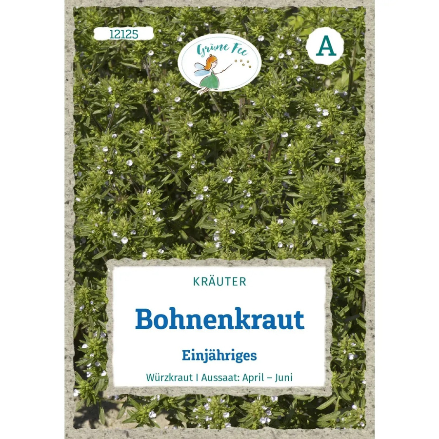 Grüne Fee Bohnenkraut Einjähriges Saatgut Würzkraut - Bild 2
