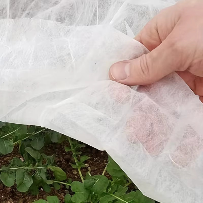 Verdickter Vliesstoff-Gartenmulch als Pflanzenschutzabdeckung für Gemüse und Obstbäume zur Isolierung und als Frostschutz, Farbe: Weiß, Breite: 160 cm, Länge: 1000 cm - Bild 5