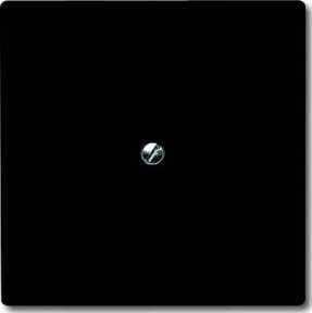 Busch-Jaeger Blindzentralscheibe mit Tragring in Anthrazit, Schwarz-Grau, IP44, 2138-35 - Bild 1