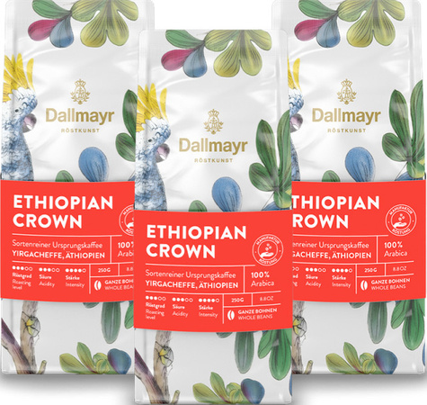 Dallmayr Kaffee Äthiopien 100 % Arabica ganze Bohne 3 x 250g