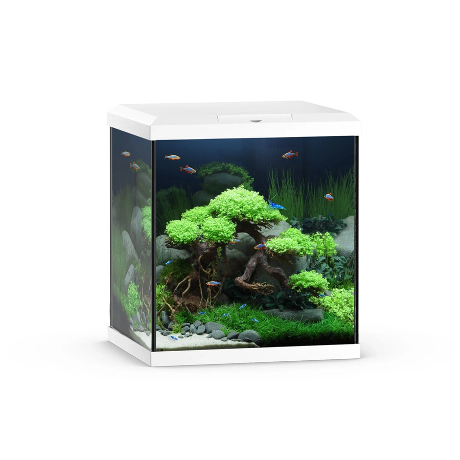 Juwel Aquarium-Set Vio Cube 54 LED SBX in Weiß - Bild 2