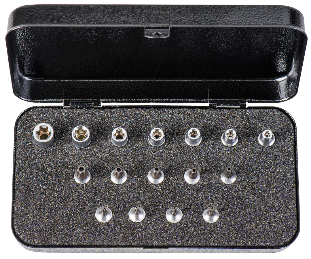 Elora Steckschlüssel-Satz 1/4 Zoll TORX 16-teilig in Silber ELORA-1400-TXE - Bild 1