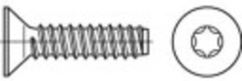 TOOLCRAFT Senkblechschrauben mit Innensechskant für T-Profile, Stahl galvanisch verzinkt, Farbe: Silber, Durchmesser: 6,3 mm, Länge: 50 mm, 250 Stück - Bild 1