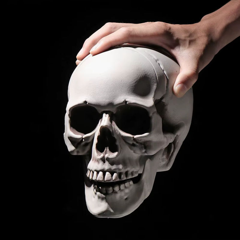 Menschlicher Totenkopf als Skelett-Dekoration für Halloween in Weiß aus Kunststoff - Bild 5