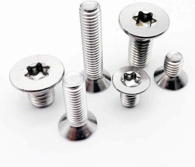 HZYUEGOU Torx Flachkopfschrauben aus Edelstahl A2-70 in Silber - Bild 1