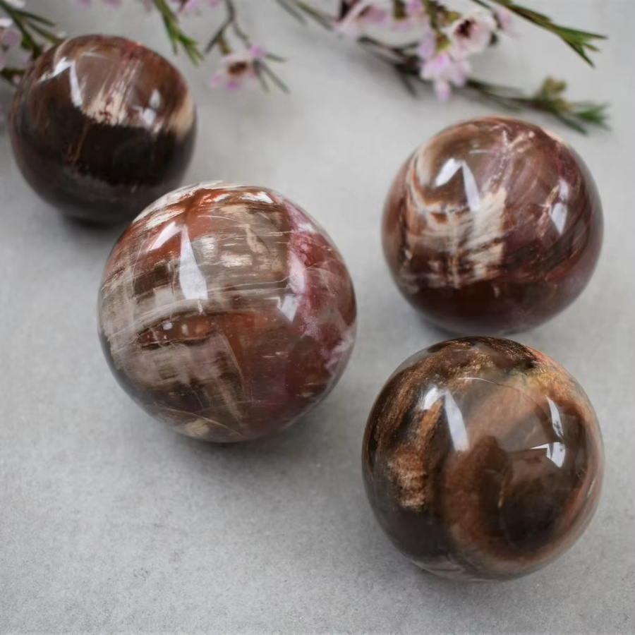 CrystalHola Natürliche versteinertes Holz-Kugel in Mehrfarben als Dekorationsobjekt - Bild 2