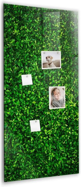 Tulup Glasmagnettafel Blätter Der Zaunpflanze, Weiß und Grün, B/H: 120 x 60 cm - Bild 1