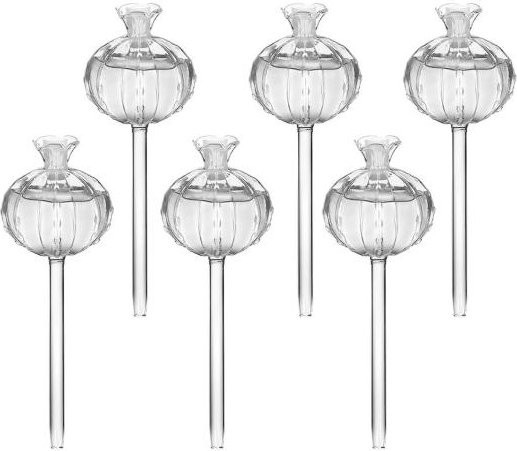 Amusedly Selbstbewässerungskugeln im Kaktus-Design, 6er Set, transparent, für Zimmerpflanzen - Bild 1