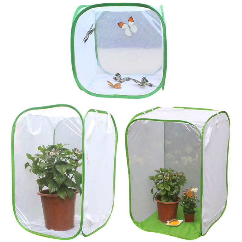 Faltbarer insektsicherer Sämlingskäfig für Obst, Gemüse, Blumen und Kräuter B/T/H: 60 x 40 x 40 cm - Bild 6