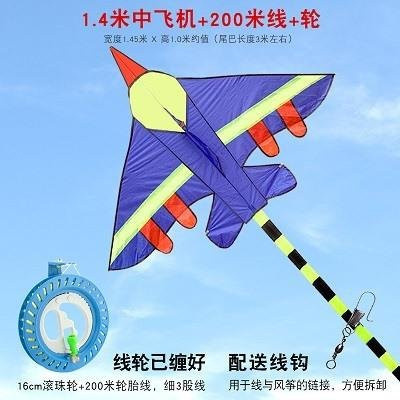 Binchi Breeze Flugzeug-Drachen, blau, ab 3 Jahren - Bild 1