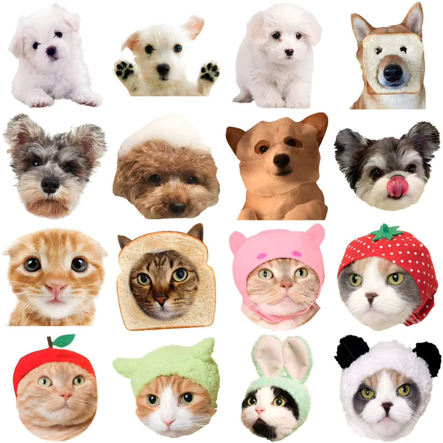 Rspctou Niedliche Tier-Aufkleber, Katzen- und Hunde-Cartoon-Sticker, multicolour - Bild 4