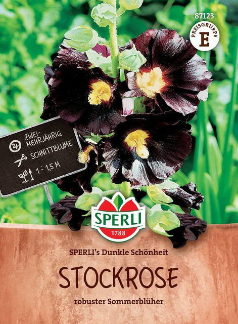 SPERLI Stockrosen-Samen Dunkle Schönheit in Schwarz - Bild 1
