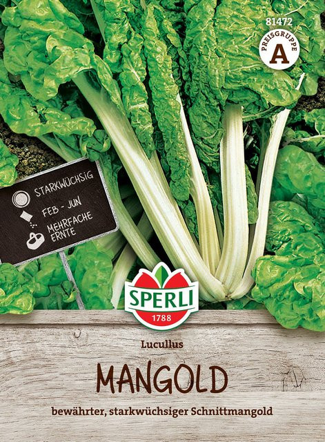 SPERLI Mangold-Samen Lucullus - Bild 1