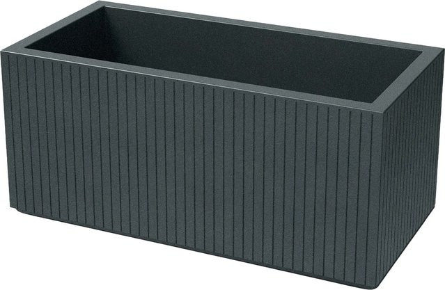 Prosperplast Blumentopf Coro Case in Graphit B/T/H: 80 x 36 x 36 cm - Bild 1