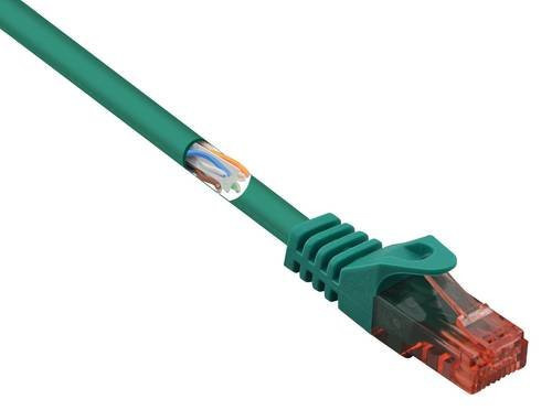 Renkforce RF-5153666 RJ45 Patchkabel CAT 6 U/UTP Ethernet/LAN, Grün, Länge: 3,00 m - Bild 1