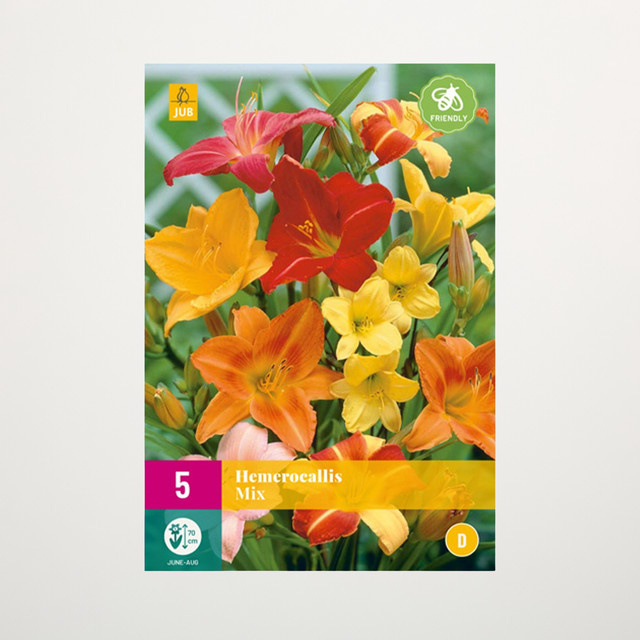 Taglilien Mix BLUME2000 Stauden mit 5 Knollen - Bild 1