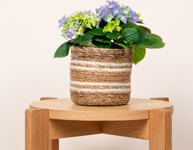 Seegras Korb von BLUME2000 gestreift in Weiß und Beige, Durchmesser: 14 cm - Bild 1