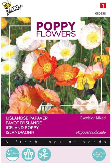 Arborix Islandmohn Buzzy Poppy Samen für große Blüten, 0,5 g - Bild 1