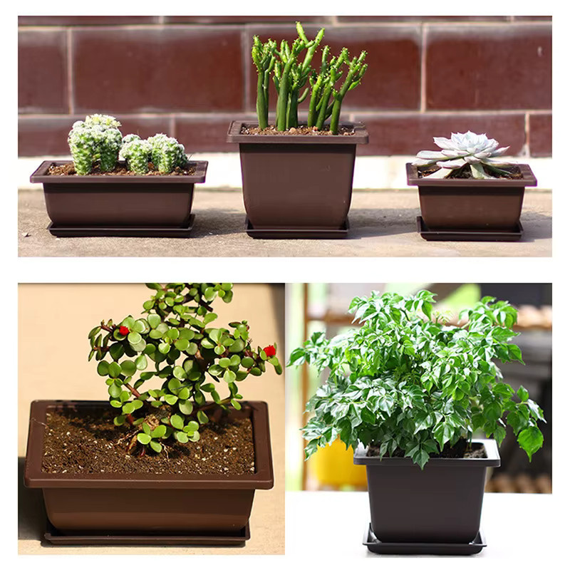 Quadratischer Blumentopf aus Kunststoff für Balkon und Bonsai - Bild 5