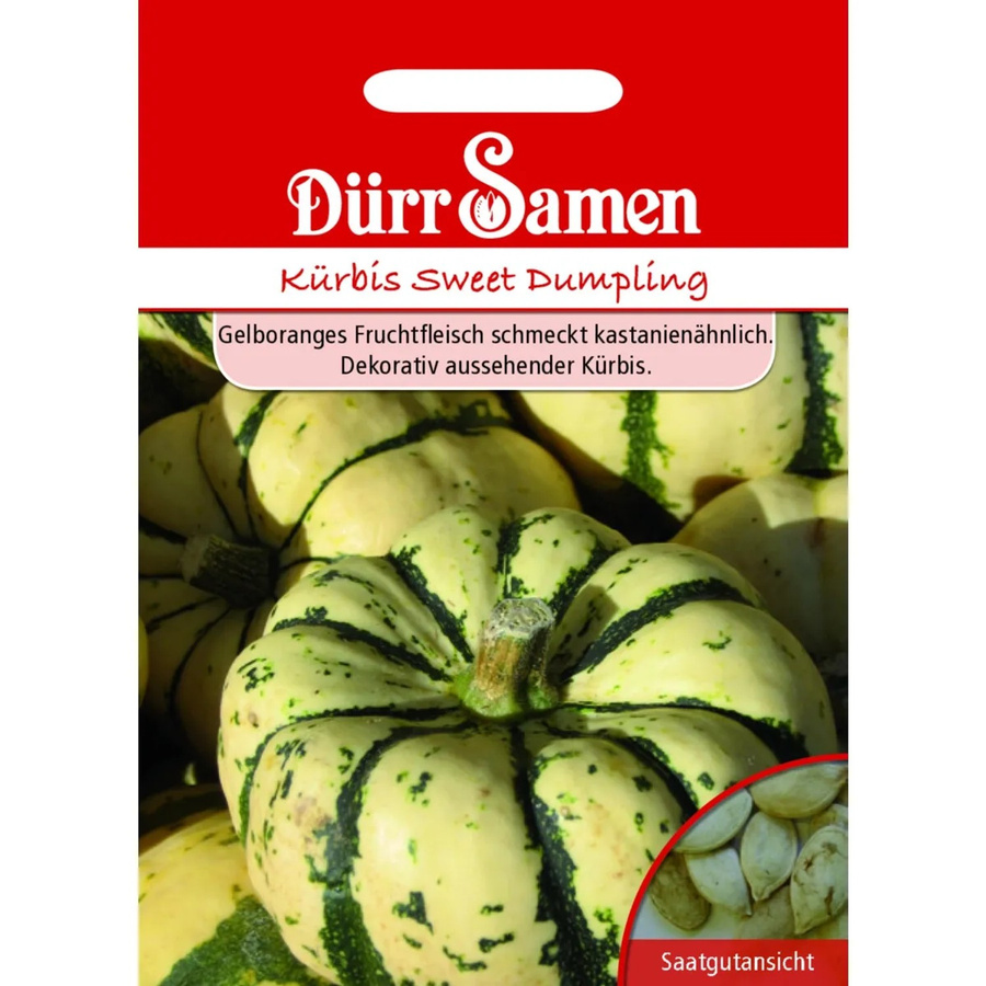 Dürr Sweet Dumpling Kürbis Saatgut - Bild 2