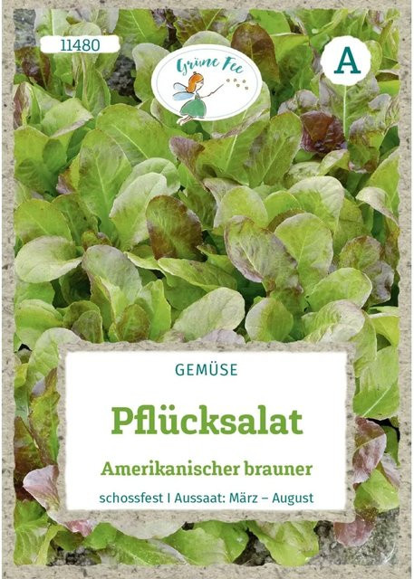 Grüne Fee Pflücksalat Amerikanischer Brauner Saatgut - Bild 1