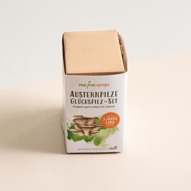 Pilzzucht Set für Austernpilze von BLUME2000 mit Buchenspänen - Bild 1