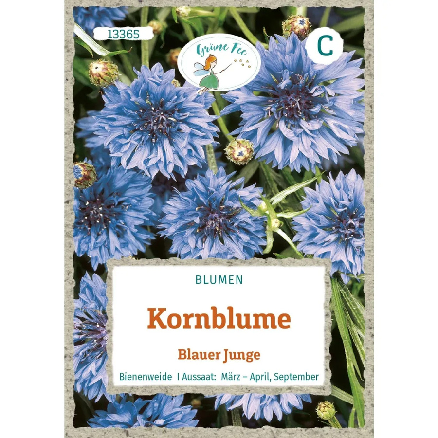 Grüne Fee Kornblume Blauer Junge Saatgut - Bild 2