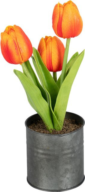 LED-Kunstblume Tulpentöpfchen Real Touch von Viva Domo in Mehrfarbig - Bild 1